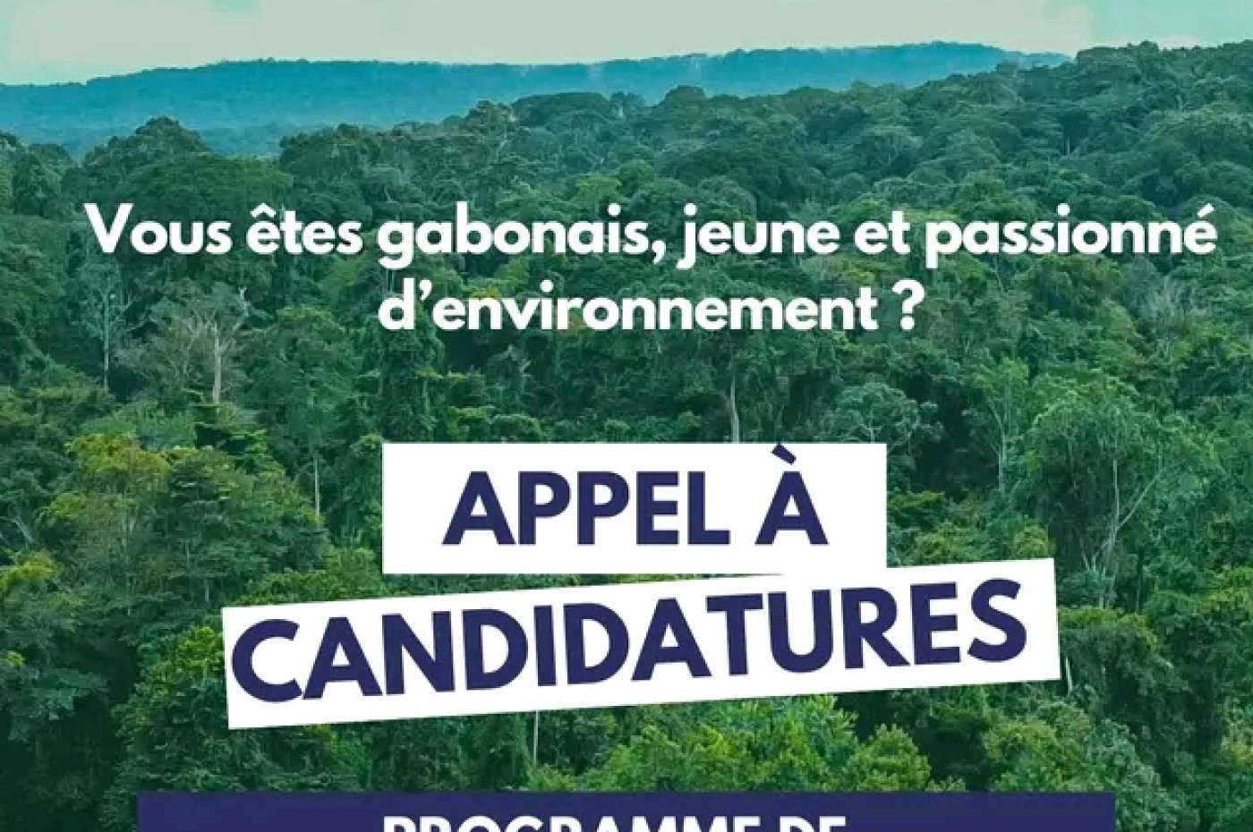 Appel à candidature